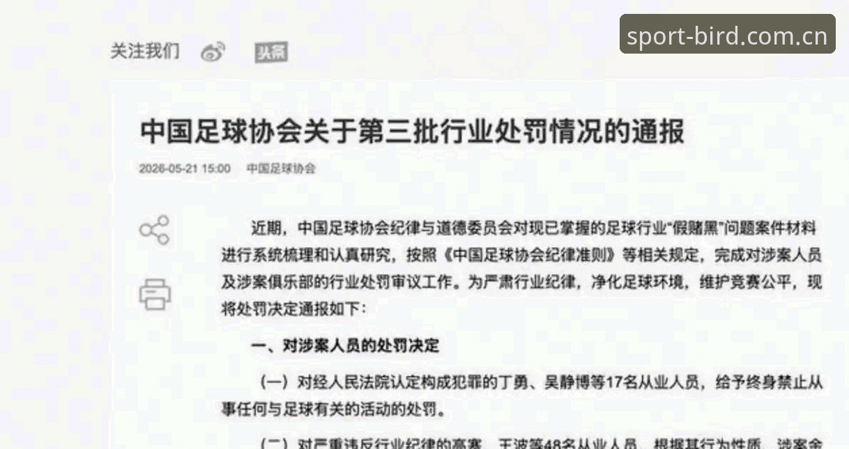 解读足协第三批禁足名单：小鸟体育平台带你追踪中国足球反腐新动态